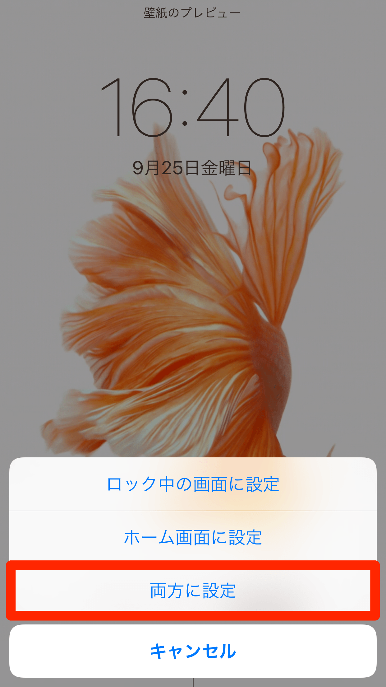 Iphone6s 6s 新機能 Live Photoを使った 数秒動く壁紙 を待ち受けにする方法 週刊iphoneナビ