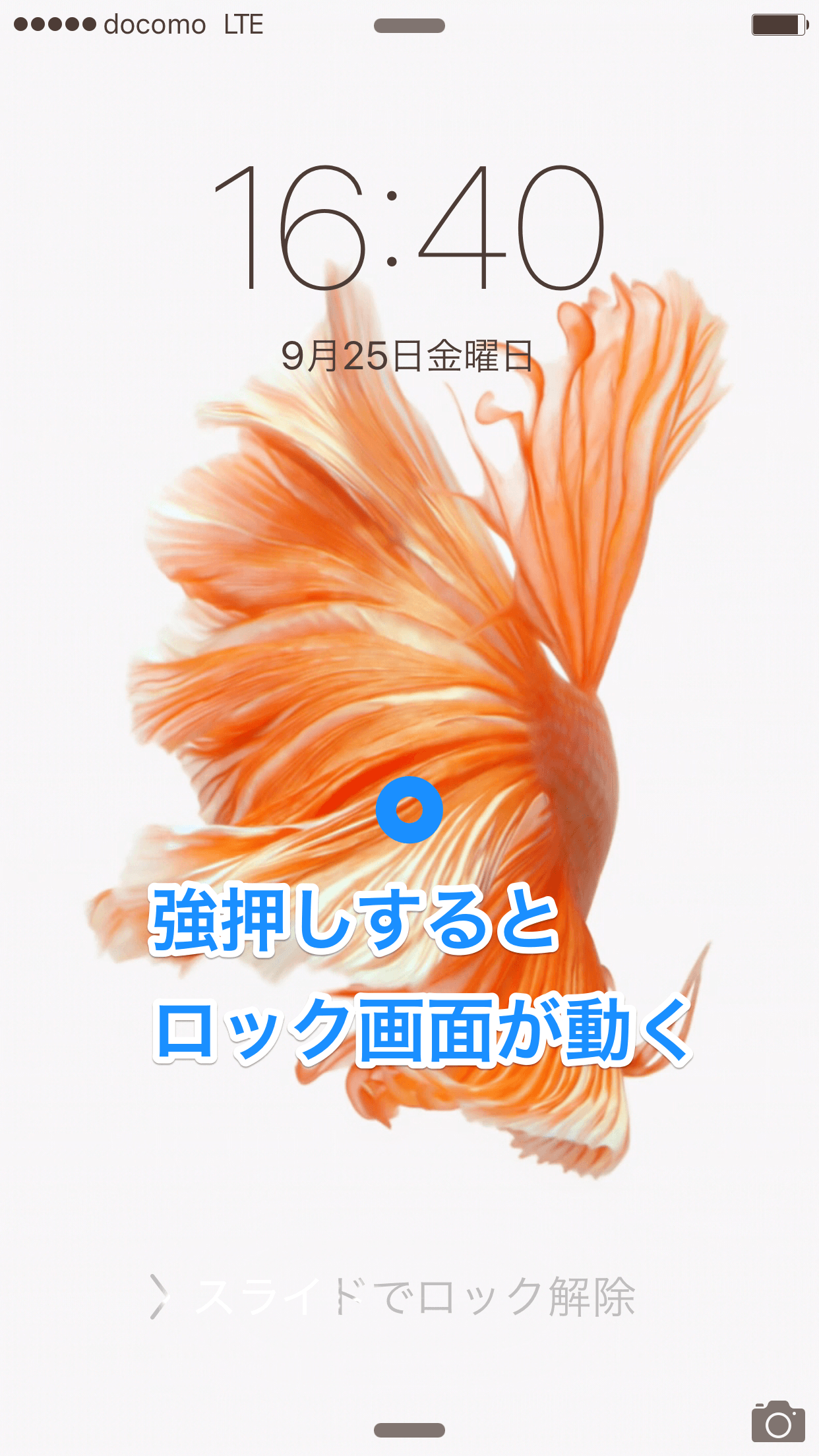 iphone6s,6s+live待ち受け