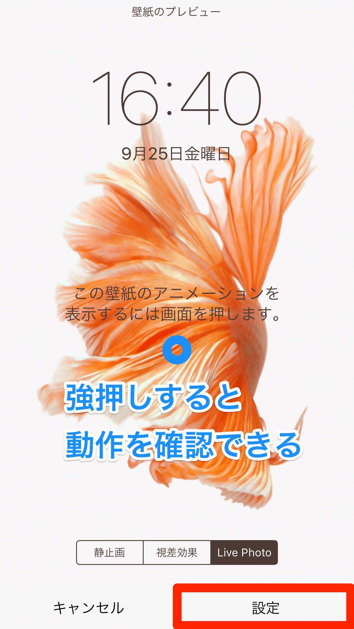 iphone6s,6s+live待ち受け